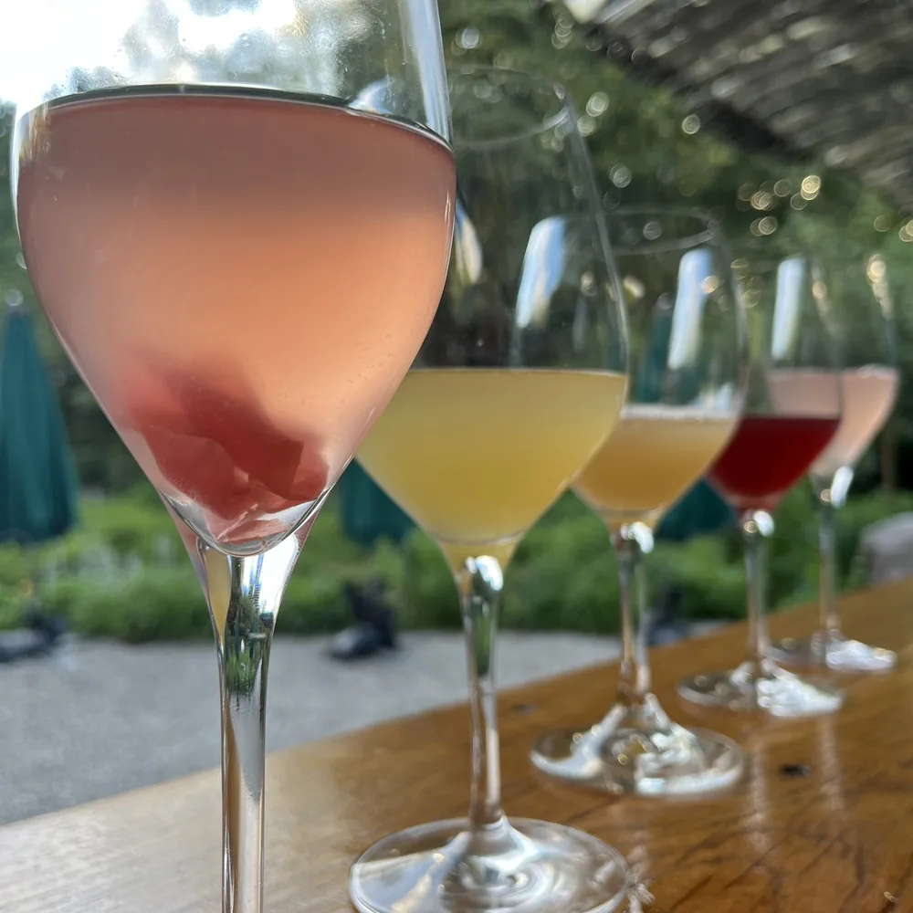 Vijf glazen met drankjes van voedselbosvruchten in de tuin