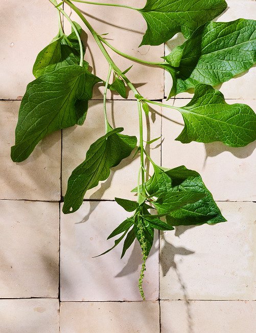 Verse groene bladgroenten op tegels